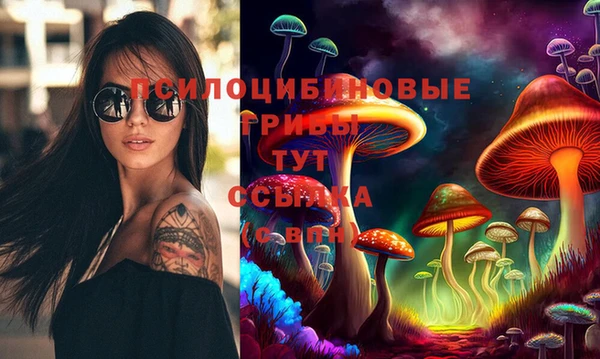 СК Алексин