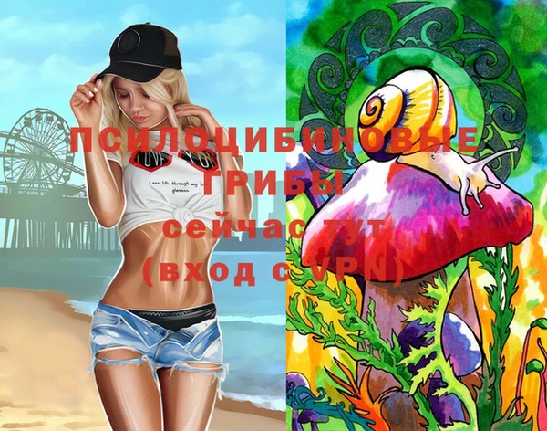 MDMA Приозерск